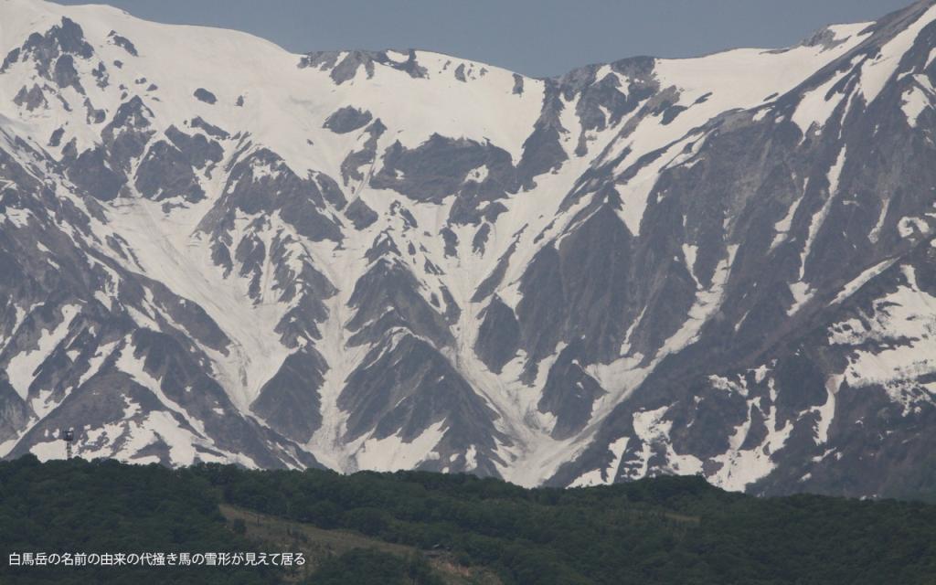 Image00012