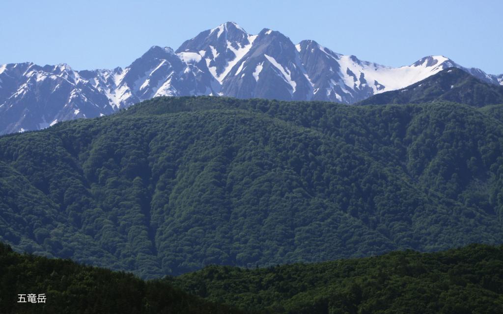Image00005