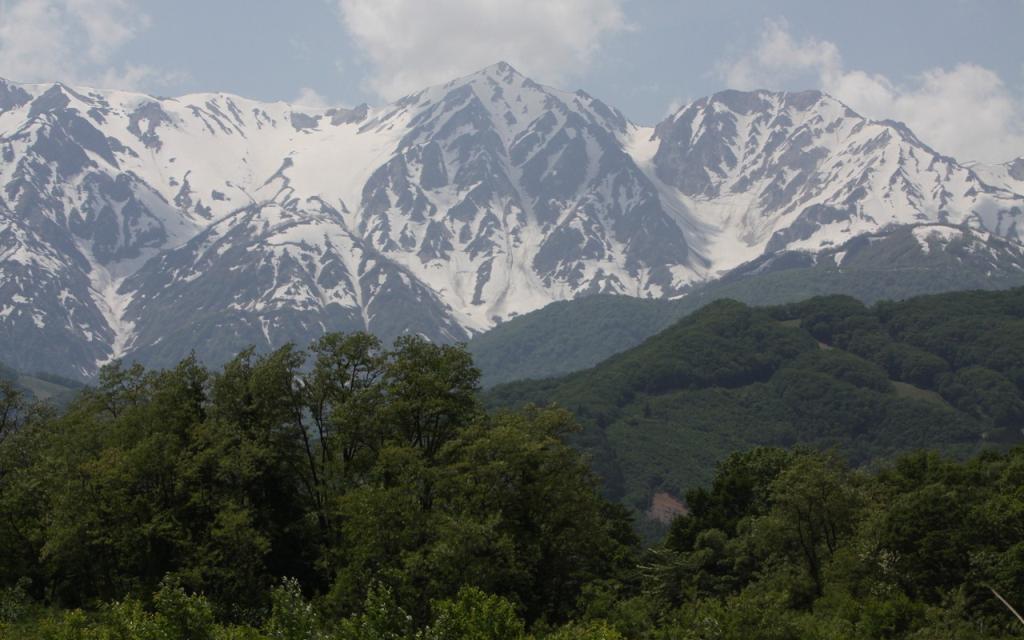 Image00013