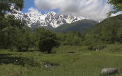 Image00014
