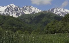 Image00018