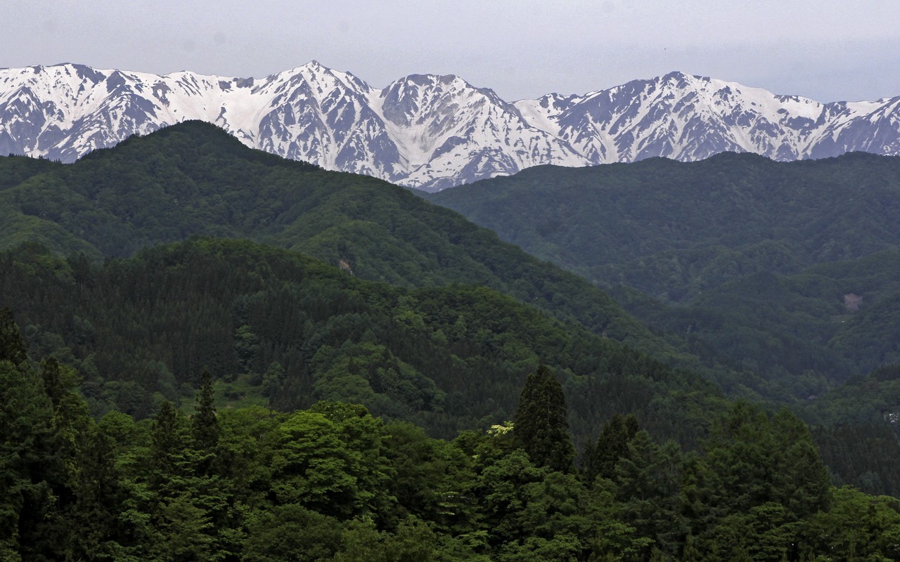 Image00032