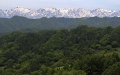 Image00035