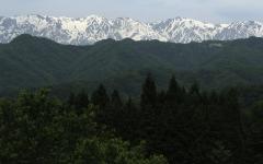 Image00037