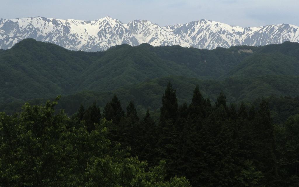 Image00037
