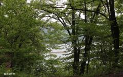 Image00045