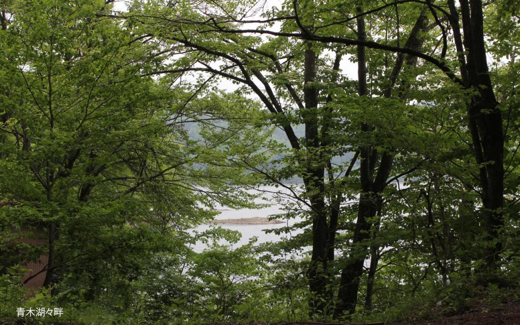 Image00045