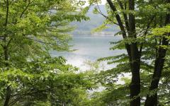 Image00063