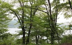 Image00046
