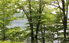 Image00062