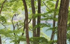 Image00066