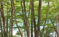 Image00065