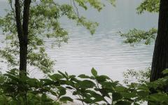 Image00059