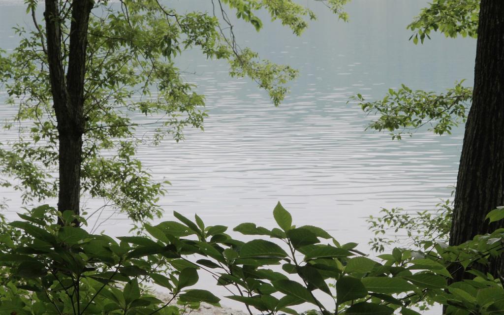 Image00059
