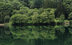 Image00068