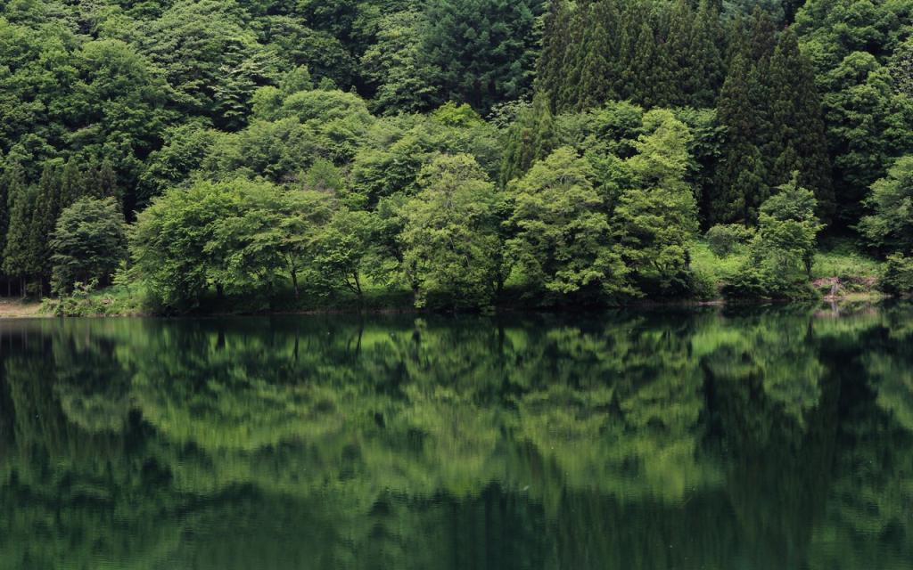 Image00068
