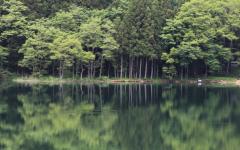 Image00069