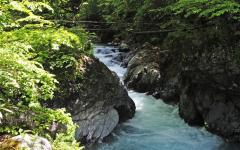 Image00049