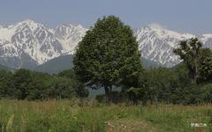 Image00053