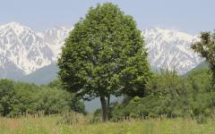 Image00054