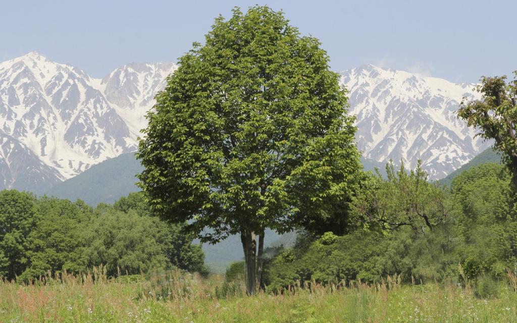 Image00054