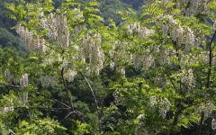 Image00043