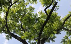 Image00058