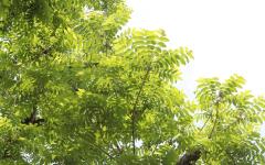 Image00057