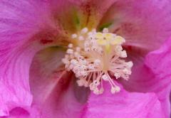 IMG_3477AB