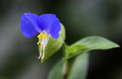 IMG_3489B