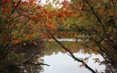 Image00001