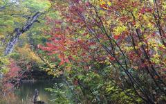 Image00002
