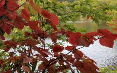 Image00003