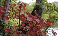 Image00004