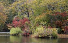 Image00005