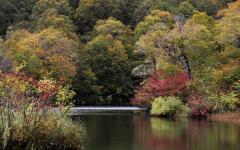 Image00007