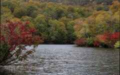 Image00010