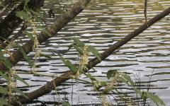 Image00012
