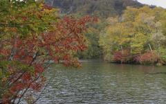 Image00013