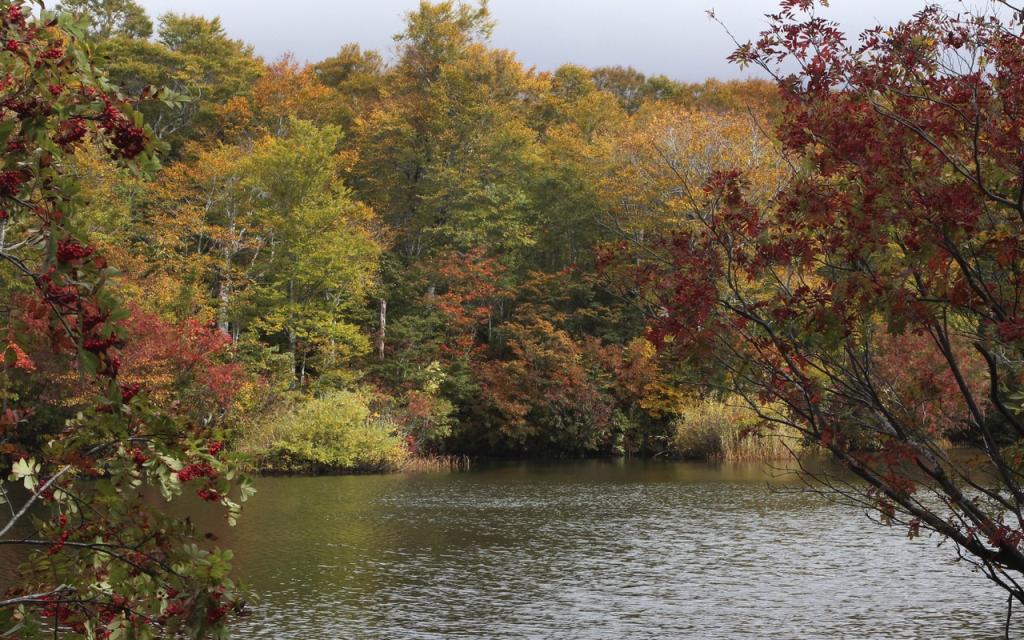 Image00014