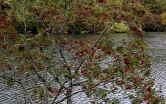 Image00015
