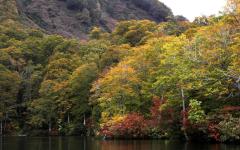 Image00017