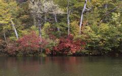 Image00018