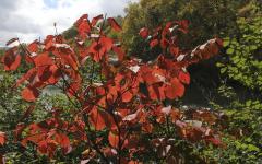 Image00019