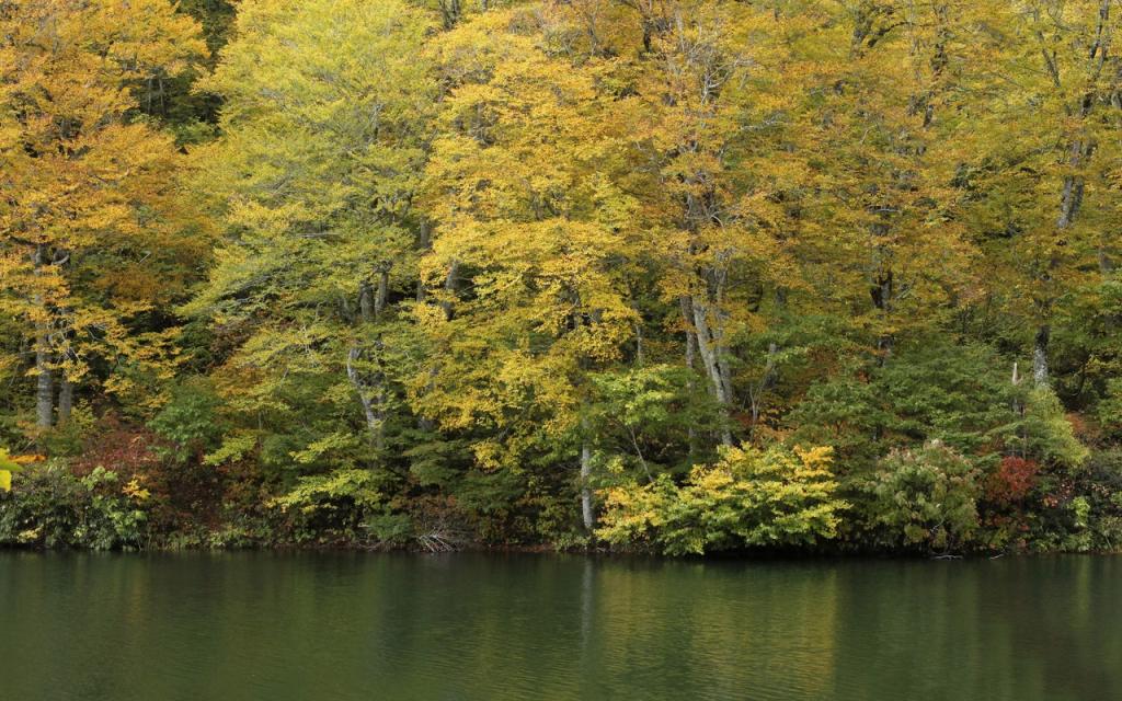 Image00001