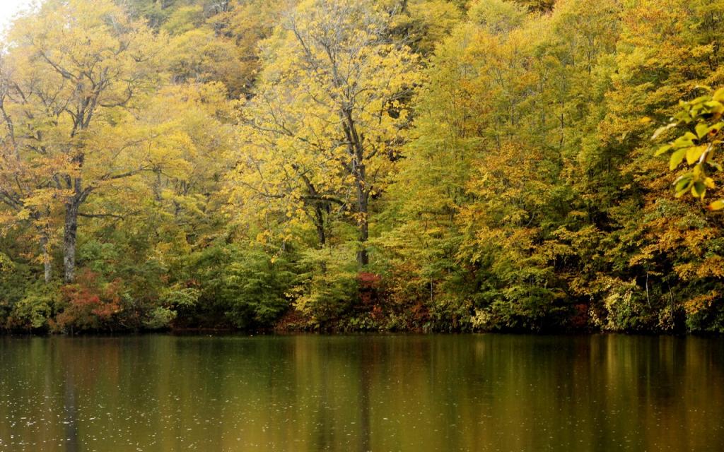 Image00003