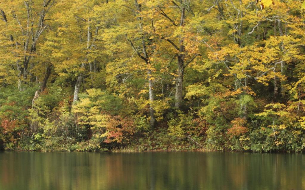 Image00004