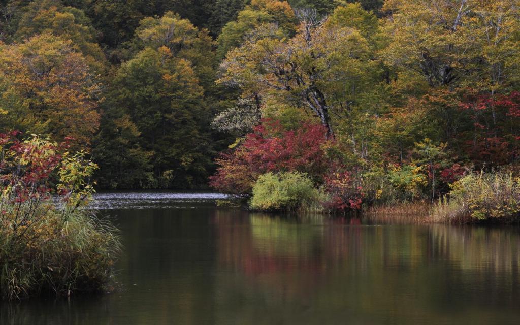 Image00001