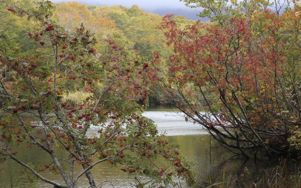 Image00004