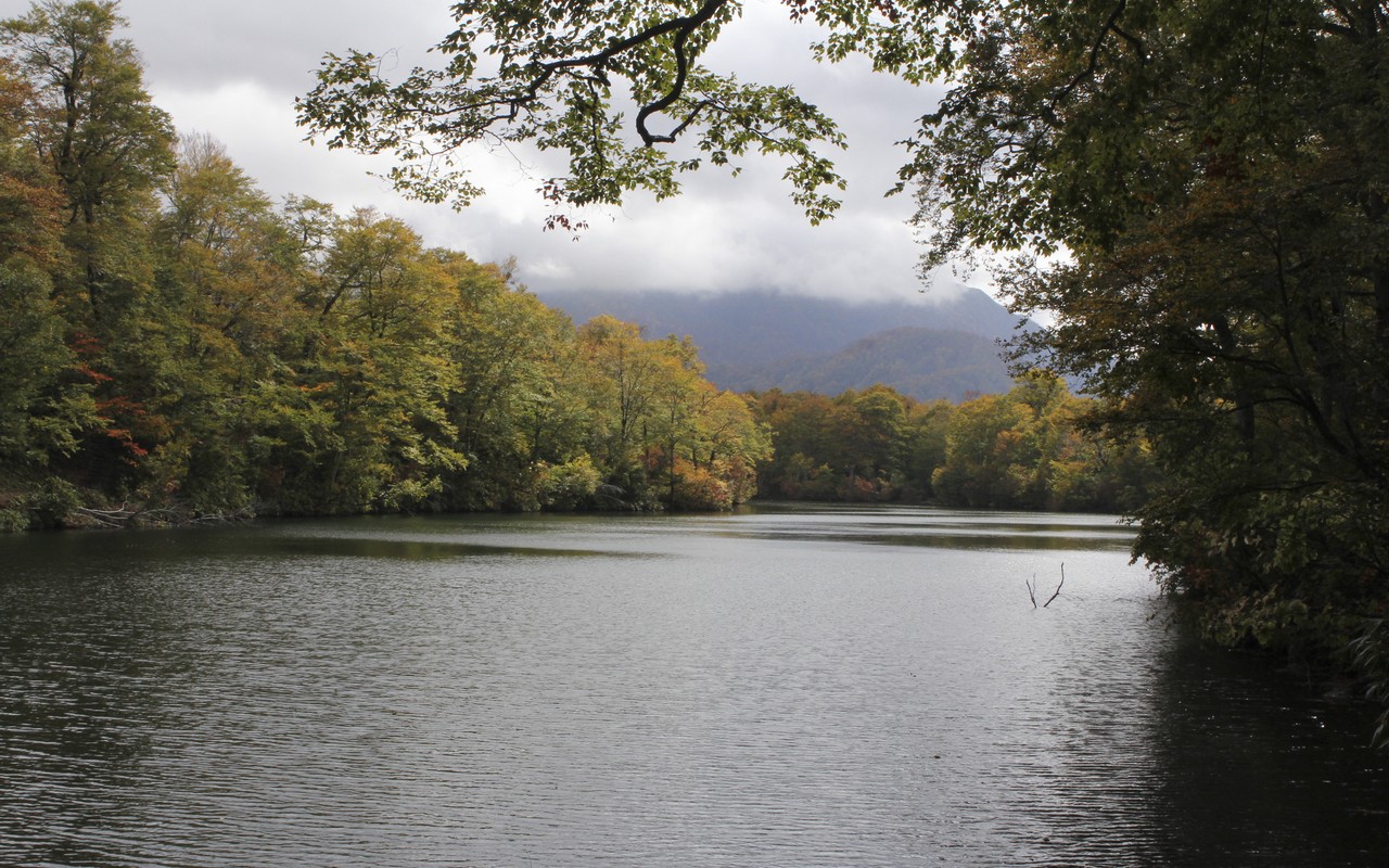 Image00008